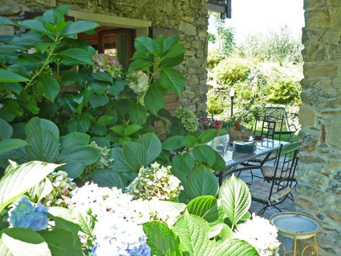 Villa Erica Con Piscina Privata Sul Lago Di Como Colico Exteriör bild