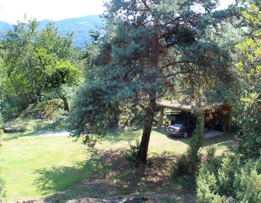 Villa Erica Con Piscina Privata Sul Lago Di Como Colico Exteriör bild